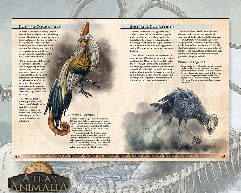 Atlas Animalia Hardcover