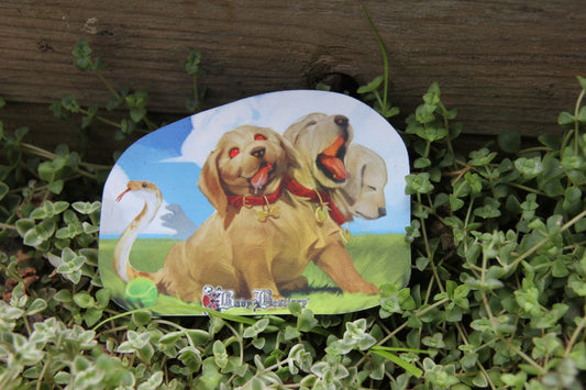 Baby Bestiary Magnets