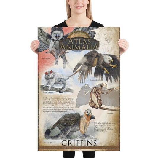 Griffin Diversity