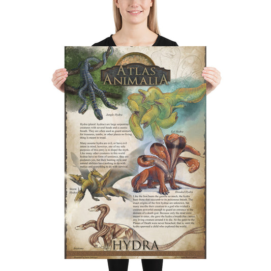 Hydra Diversity