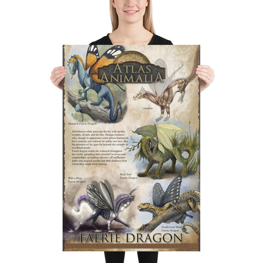 Faerie Dragon Diversity