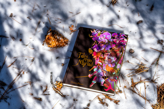 Tales From Myriad: Corebook: Limited Edition