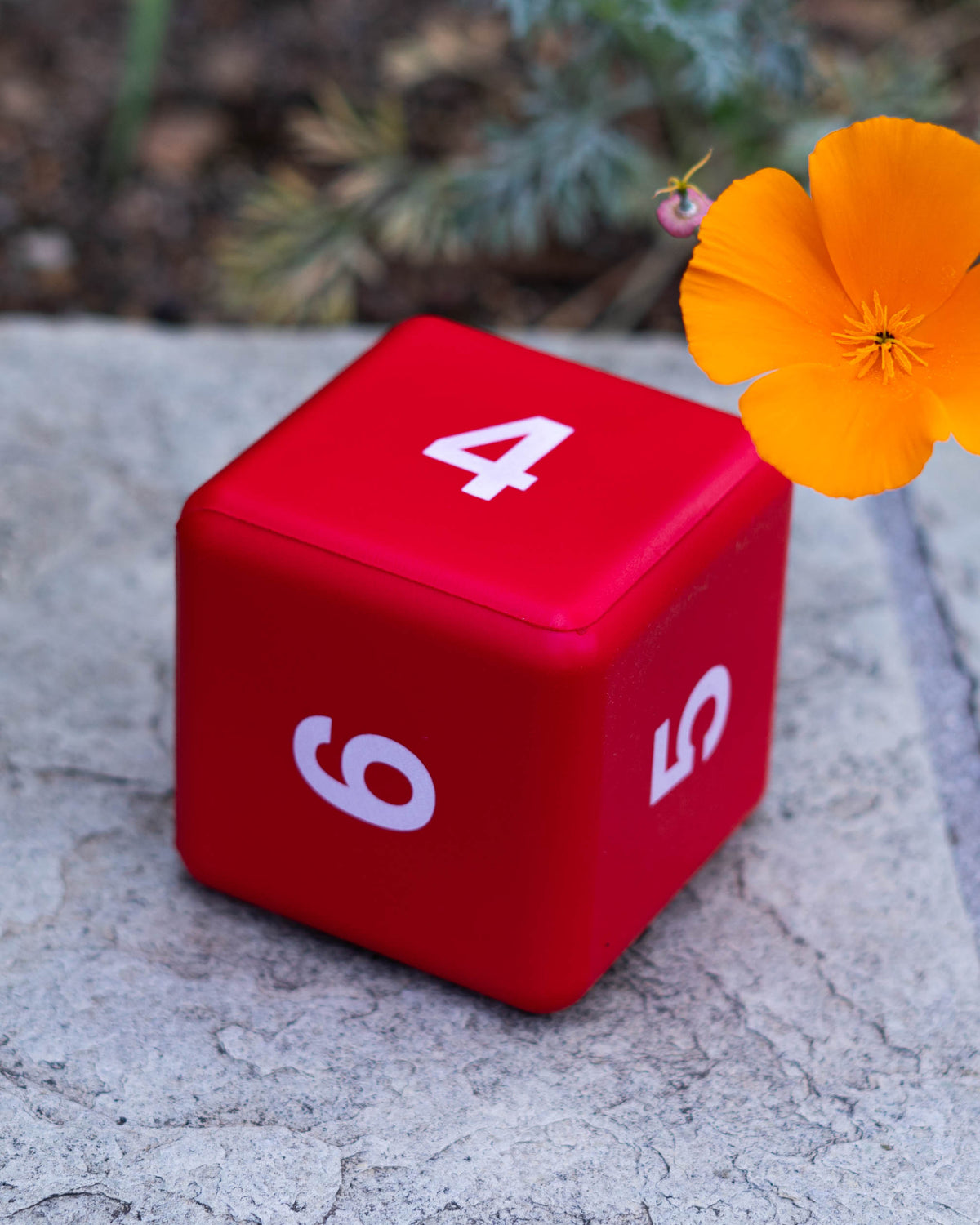 Giant (3.5in) Foam Dice