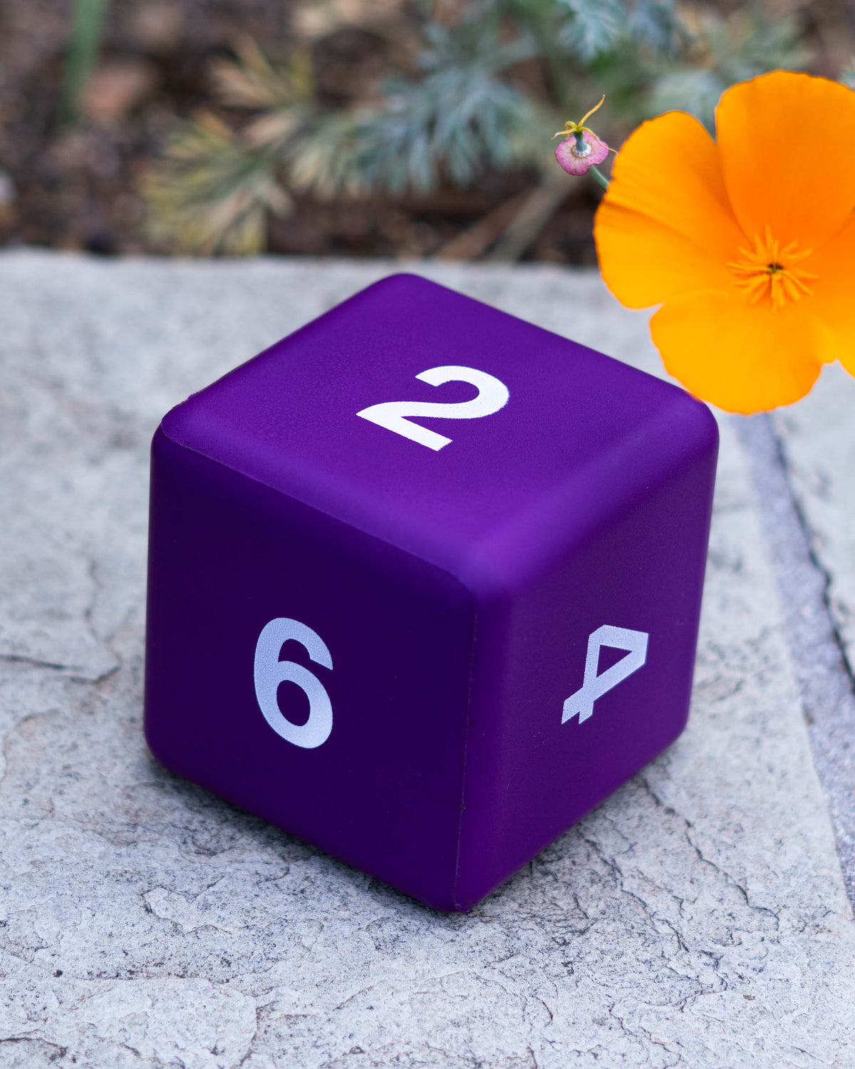 Giant (3.5in) Foam Dice