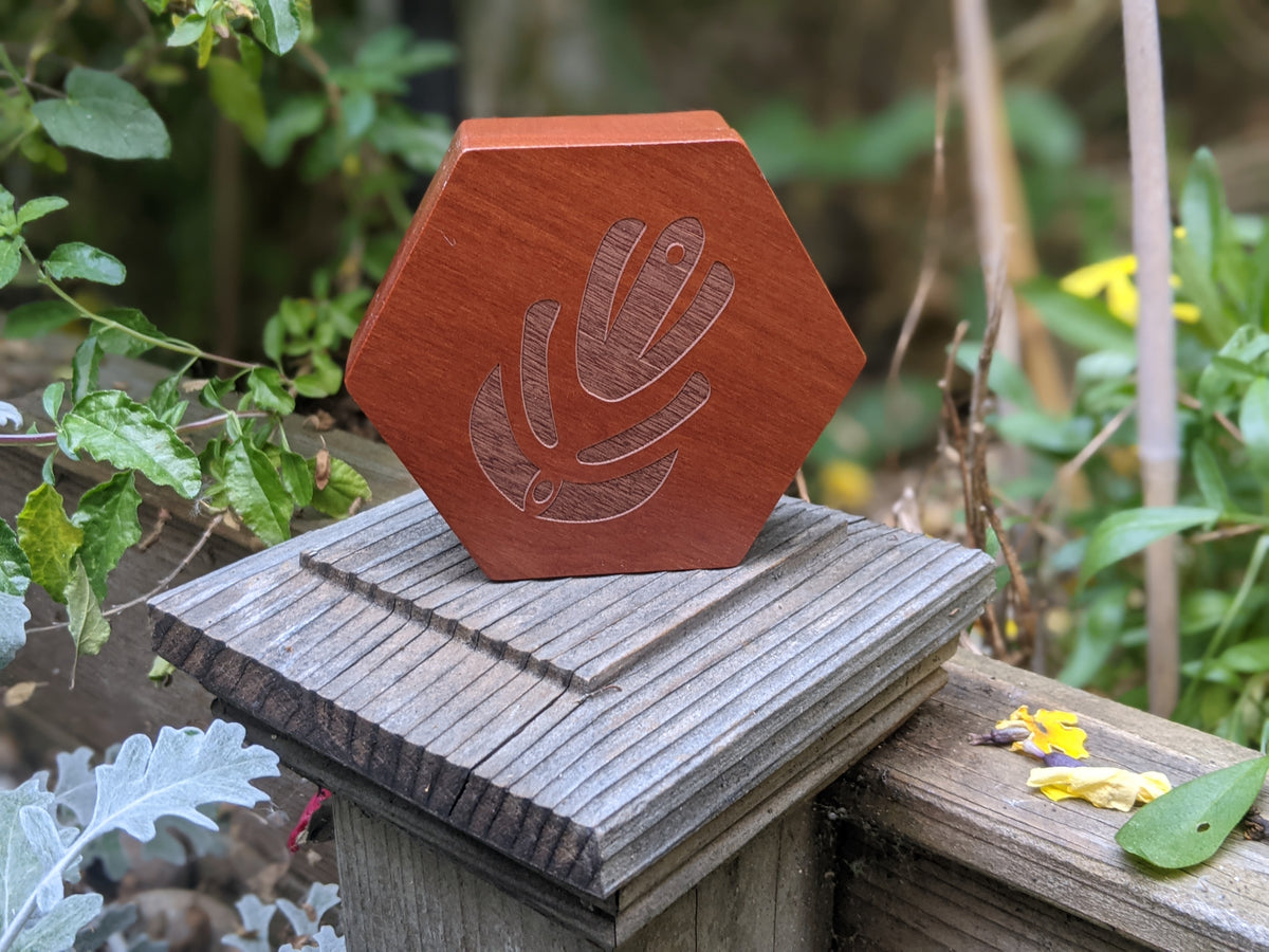 Hex Dice Box