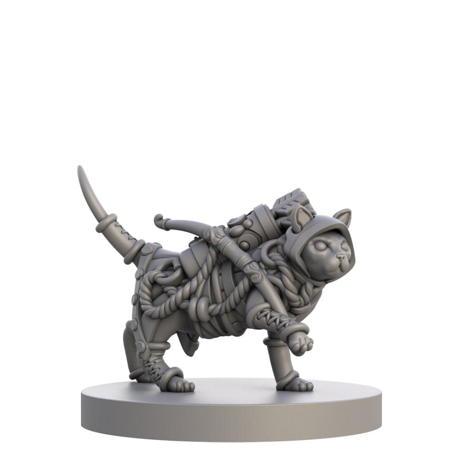 Cats and Catacombs: Volume 1