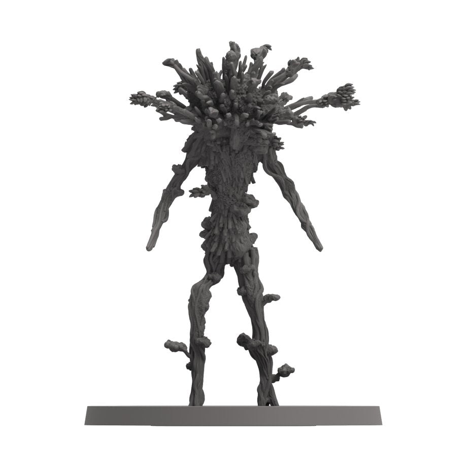 Dark Souls BG Expansion: Darkroot Expansion