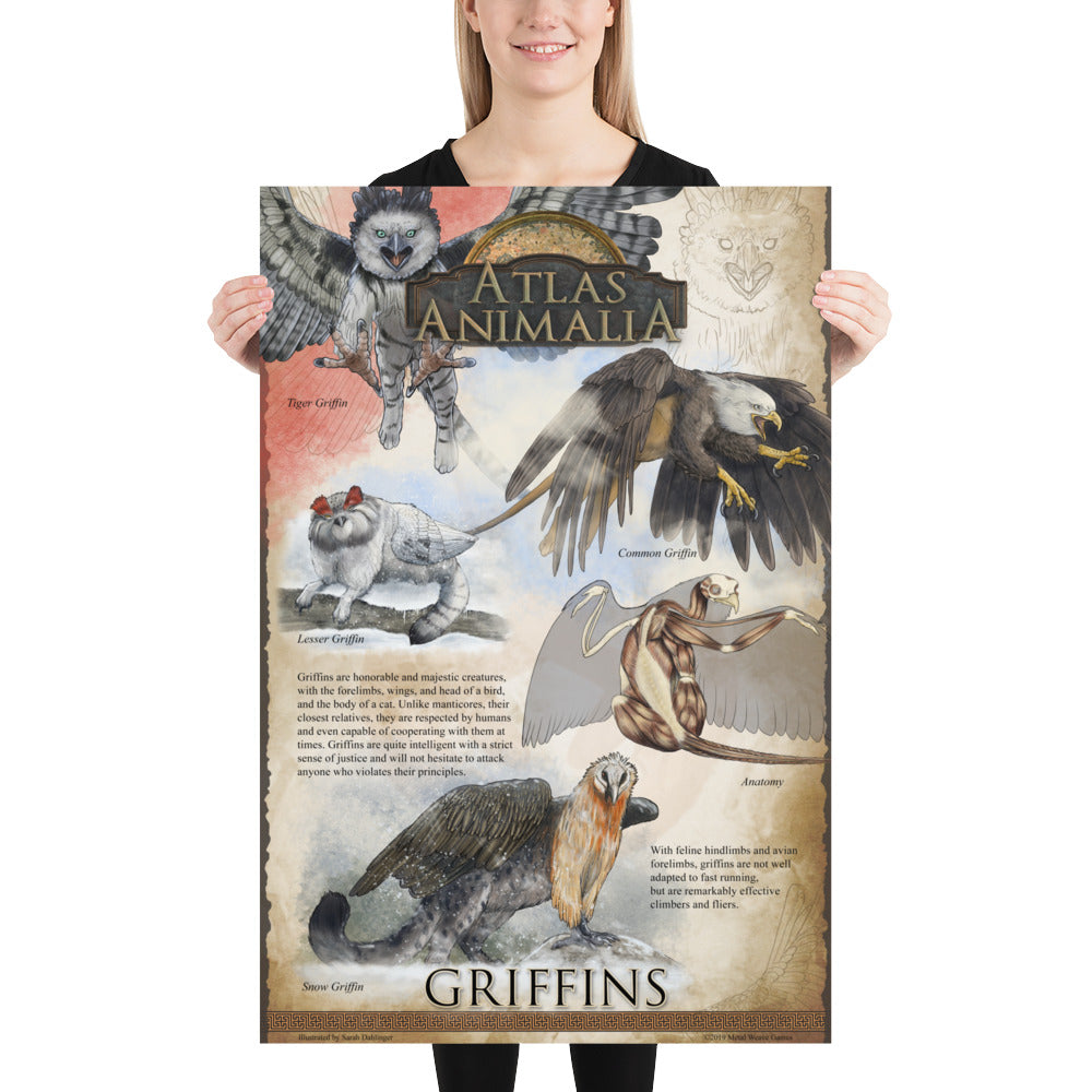 Griffin Diversity