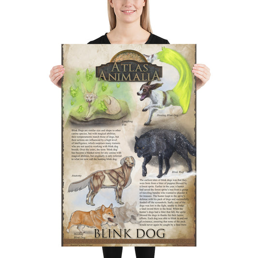 Blink Dog Diversity