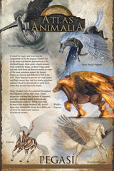 Atlas Animalia Hardcover